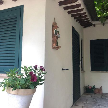 B&B Uva Fragola เปรูจา ภายนอก รูปภาพ